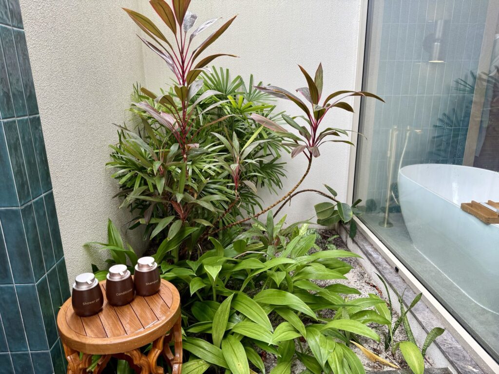 121号室の中庭のシャンプー類