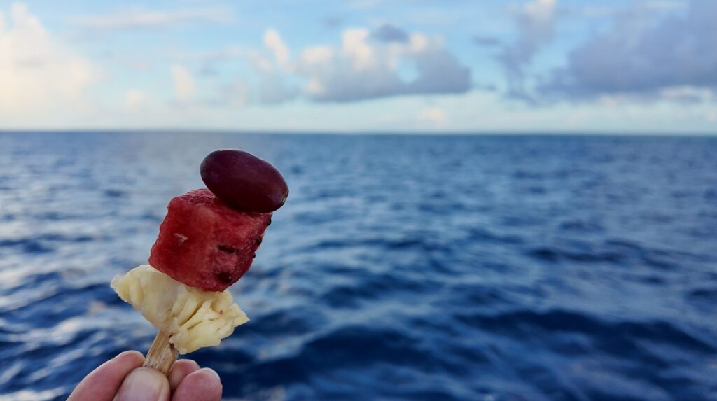 海を背景にしたパイナップル、スイカ、ぶどうのフルーツ串
